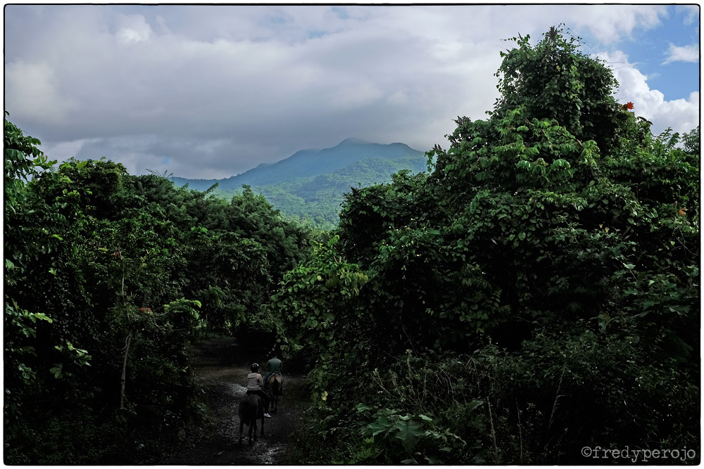 160723_el_yunque_horseback_puerto_rico_fp_1000