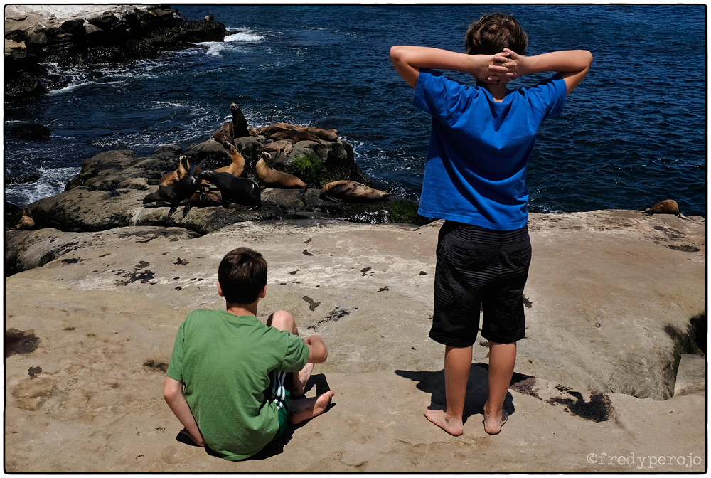 2017_san_diego_la_jolla_fp_1000