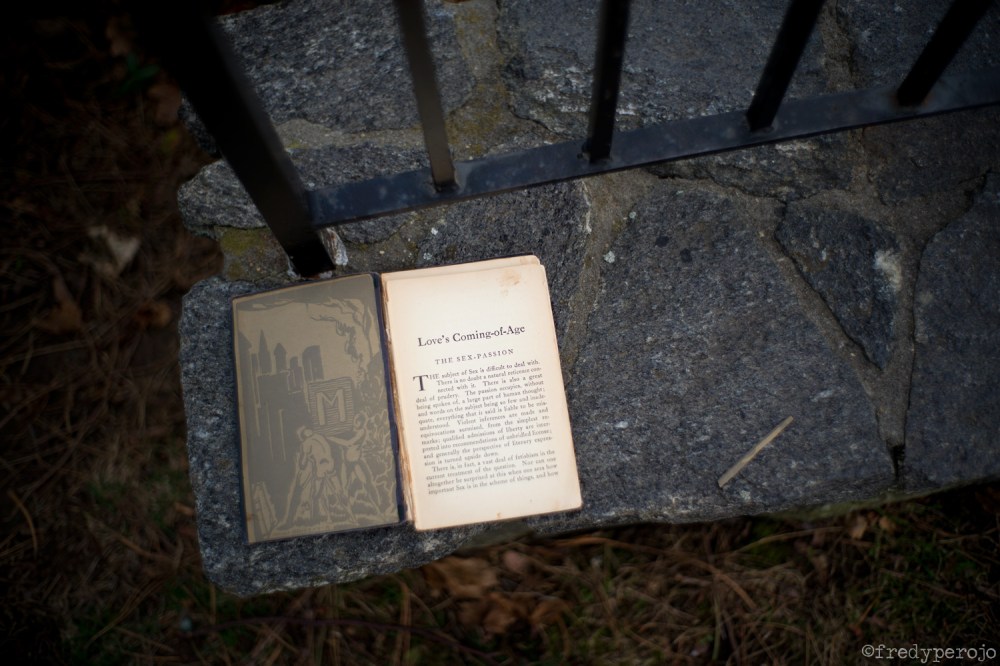 2020_hastings_on_hudson_ny_book_perojo