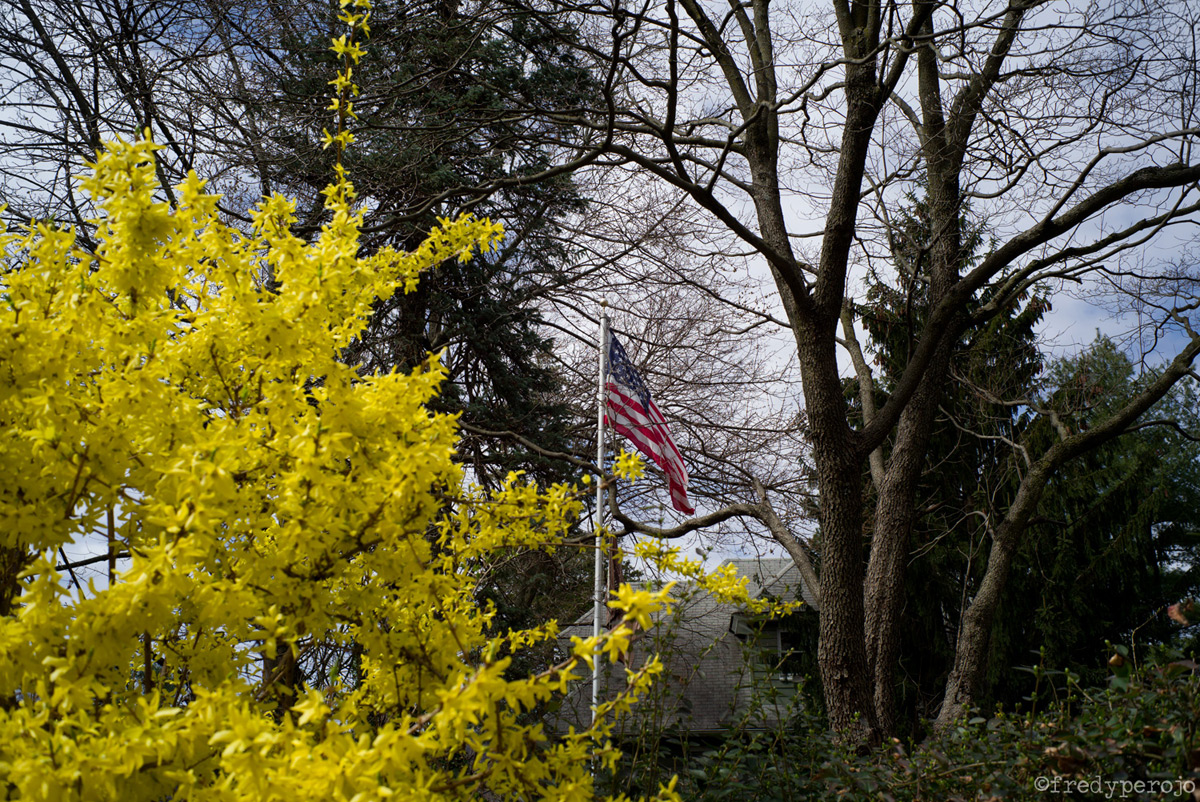 2020_yoners_ny_usa_flag_perojo