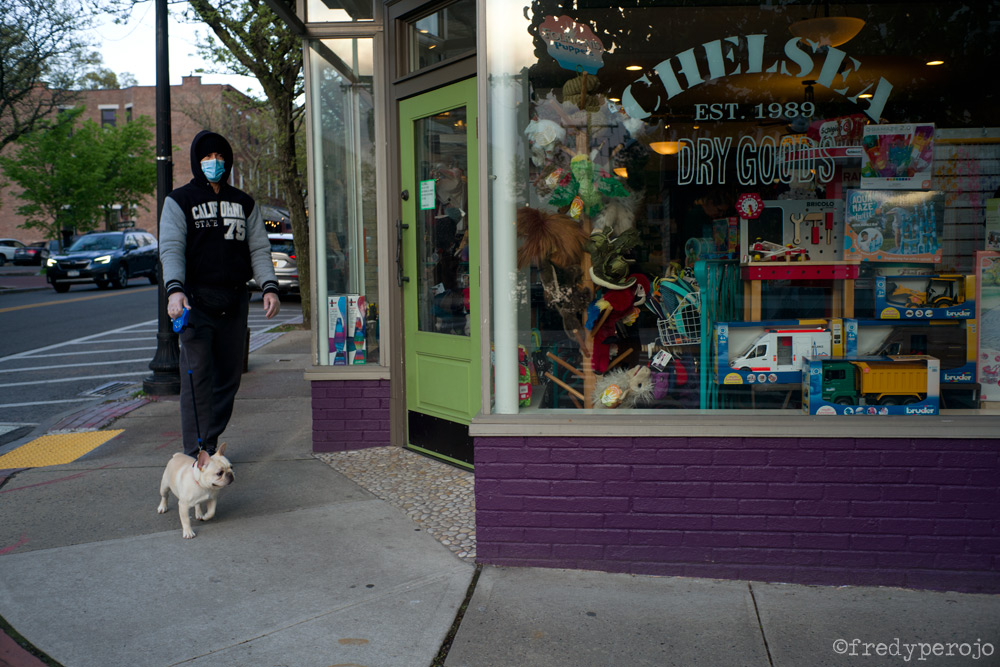 2020_coronavirus_dog_walking1_hastings_on_hudson_ny_perojo