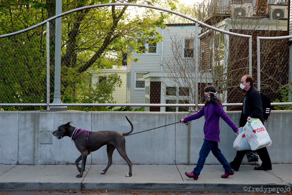 2020_coronavirus_dog_walking_hastings_on_hudson_ny_perojo