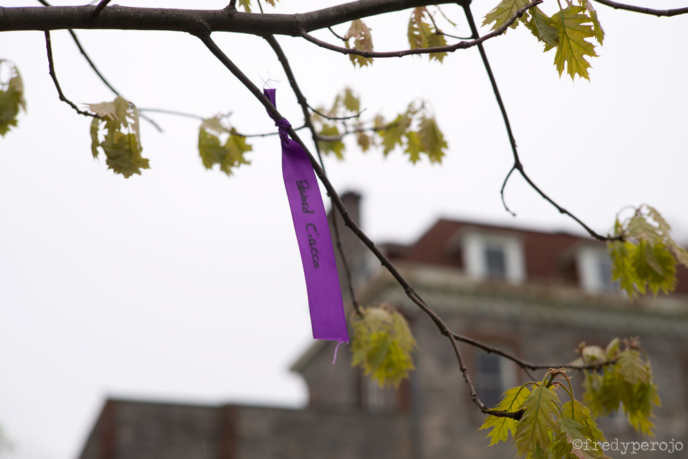 2020_coronavirus_ribbons_of_remembrance_yonkers_ny_perojo